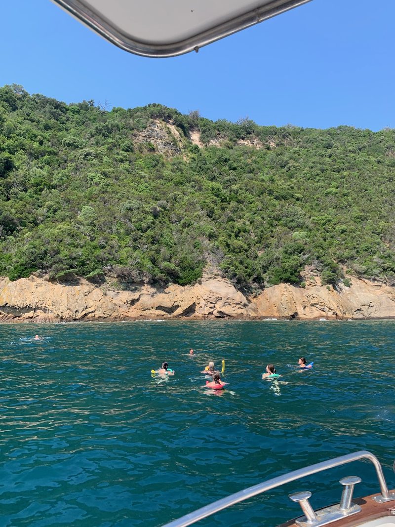La costa boscosa del Parco Sommerso della Gaiola